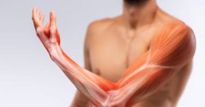 shutterstock 698074960