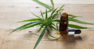 Anvisa poderá começar a discutir plantio de maconha para fins medicinais