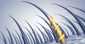 shutterstock 272452625