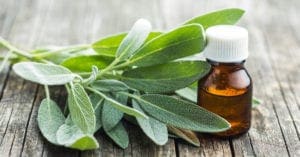 Natulab oferece curso de fitoterapia gratuito para farmacêuticos