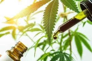 Anvisa recebe 16 pedidos ao dia para importar Canabidiol