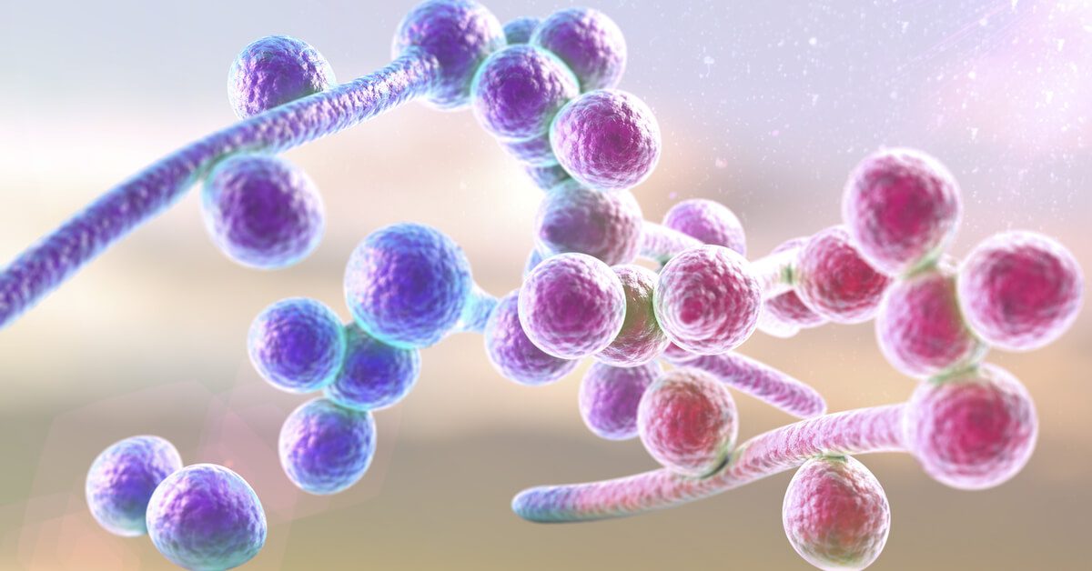 causas da candidíase