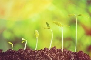 Hypera Pharma: crescimento e mudanças na diretoria