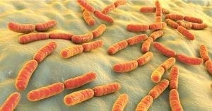 Resistência bacteriana reduz opções de tratamento e ameaça a saúde global
