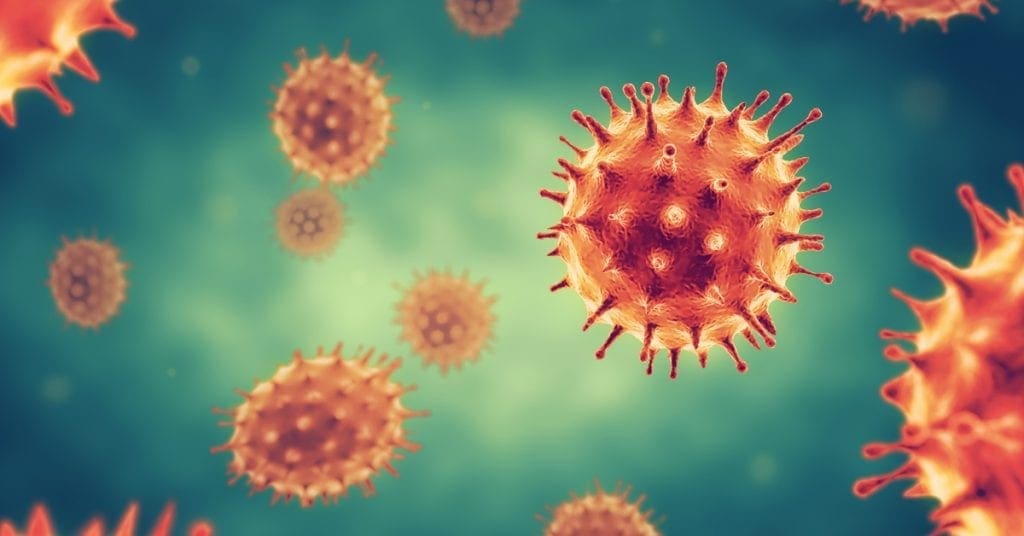 shutterstock 1612792153