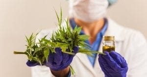 Pedido para comercializar produtos de Cannabis é feito de forma digital