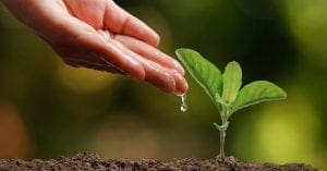 Guia da Farmácia: edição de junho explora o apelo natural em medicamentos e cosméticos