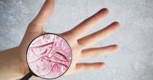 Microbioma: o que é e o que muda na medicina?