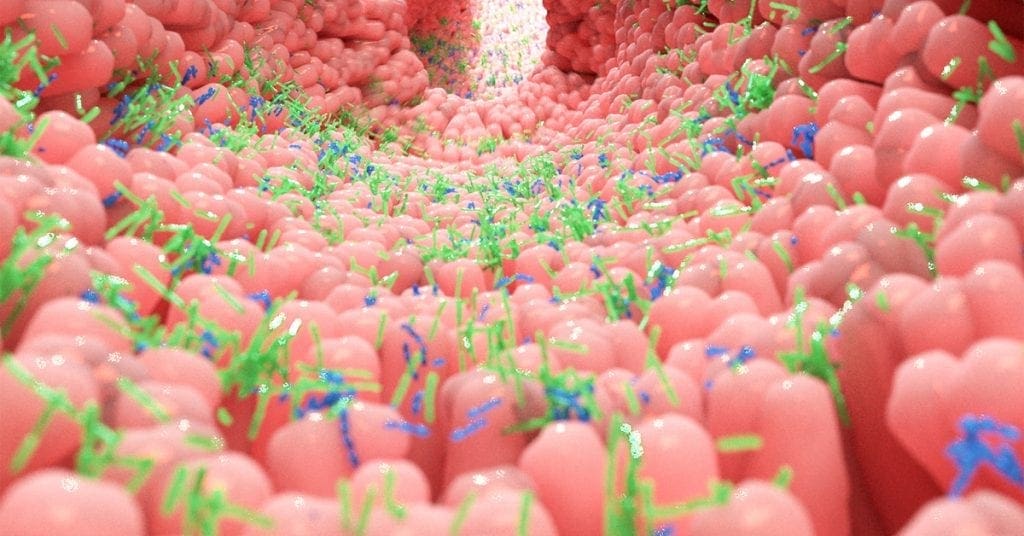 5-perguntas-e-respostas-sobre-probióticos