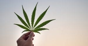 Uso medicinal da Cannabis é tema de seminário online gratuito