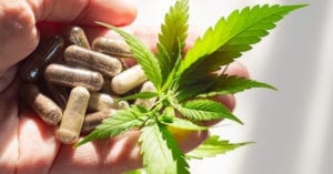 Três etapas sobre a atuação do farmacêutico na dispensação de cannabis