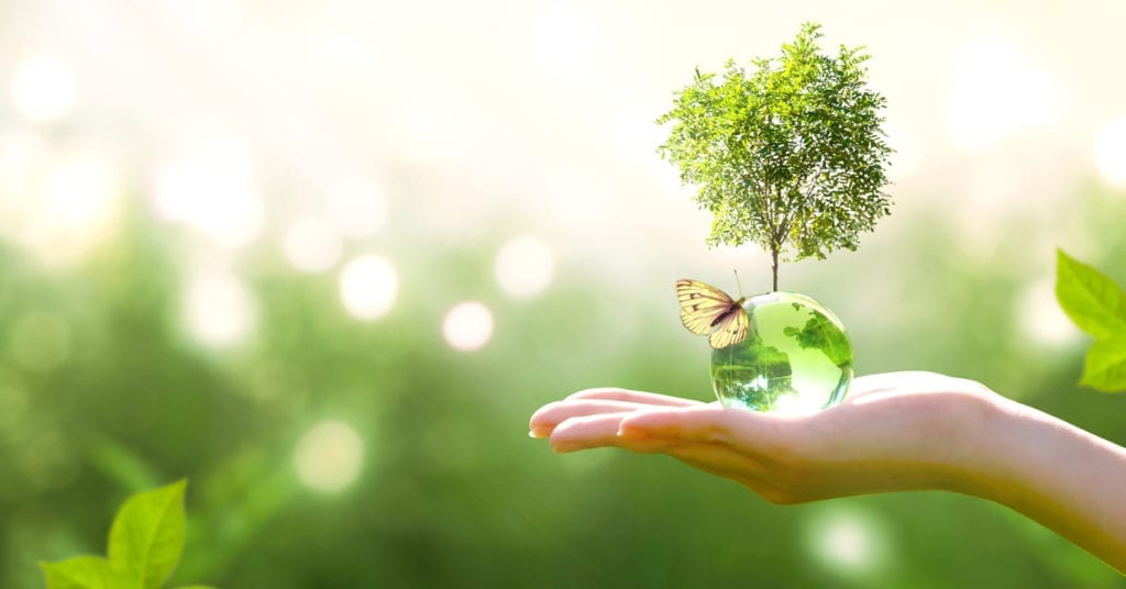 genomma-lab-sustentabilidade