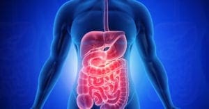 Saúde do sistema digestivo auxilia na prevenção de doenças e reduz os níveis de ansiedade e estresse