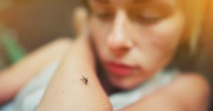 SBP alerta sobre a dengue e o início da temporada de mosquitos