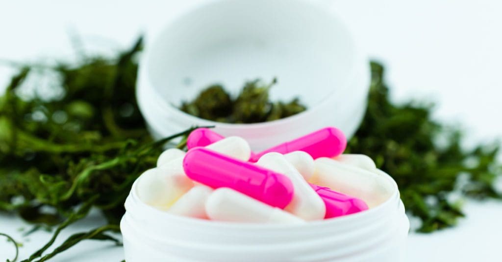 canabidiol-dor-crônica