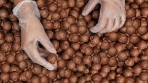 Flormel faz balanço positivo de 2021 e comenta sobre a sua entrada em uma nova categoria de produtos indulgentes