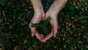 Beiersdorf fortalece iniciativas globais de sustentabilidade
