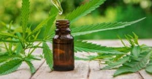 9 mitos e verdades sobre Cannabis