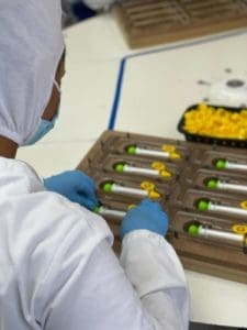 Volta às aulas: aumenta risco de gripes e resfriados em crianças