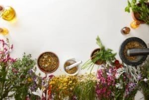 CRF-SP lança manual de orientação com destaque para plantas medicinais sugeridas para uso calmante