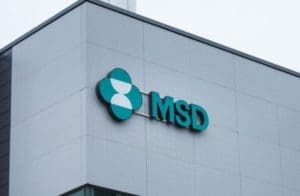 MSD Brasil abre inscrições para programa de estágio em 36 áreas de atuação