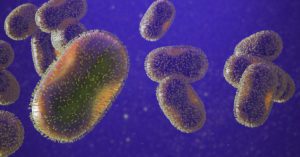 CRF-SP publica novo informe técnico sobre varíola do macaco