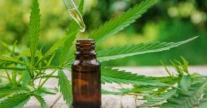 Cannabis: idoso tem reversão de sintomas do Alzheimer com óleo da planta