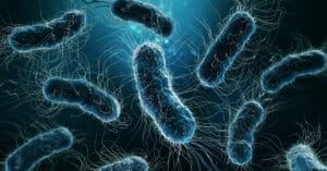 Quais são as bactérias mais perigosas do mundo?