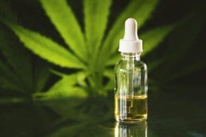 Cannabis: SP define critério para remédio pelo SUS