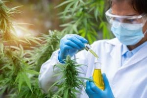 Zion Medpharma e Tegra Pharma lançam a healthtech de cannabis medicinal Endogen