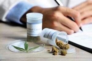 Exclusivo: Cenário do uso de cannabis medicinal no País