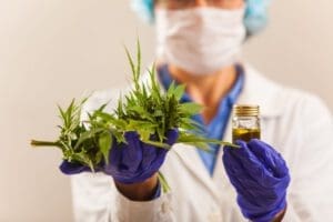 Vendas nas farmácias de produtos à base de cannabis crescem 342,3%