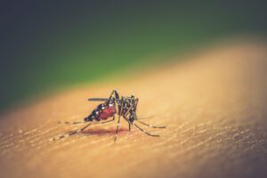 Levantamento mostra que número de testes positivos de dengue triplicou no Brasil em 2023