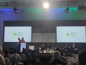 Cenário da Cannabis no Brasil já conta com 180 mil pacientes cadastrados