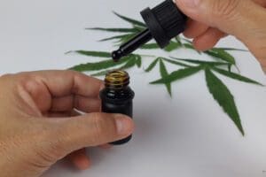 Planta brasileira produz canabidiol sem alucinógeno