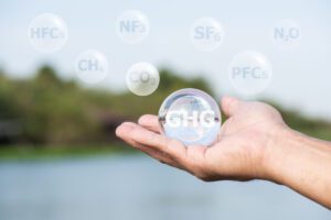 Mantecorp Skincare e Inspire360 compensarão gases de efeito estufa