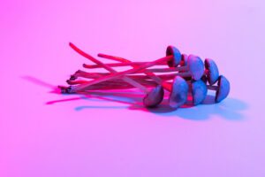 Austrália se torna 1º país a liberar prescrição de ecstasy e cogumelos alucinógenos como medicamentos