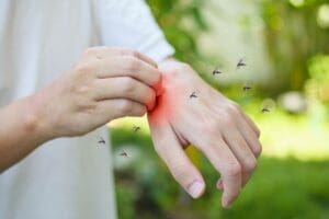 Brasil já ultrapassa 1.500 mortes por dengue só em 2024