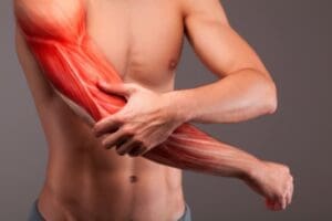 Proteínas são essenciais para ossos e para a contração muscular