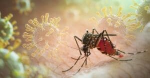 Dengue: SP, MG e PR concentram 73% dos casos e 86% dos óbitos