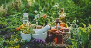 Doenças de outono: conheça plantas medicinais que atuam no tratamento