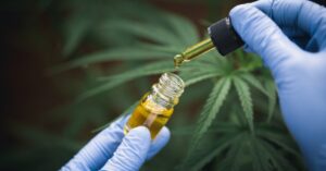 Associações de cannabis crescem 22% no Brasil