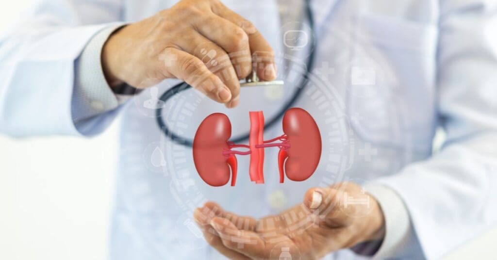 rins-conceito-doenca-renal
